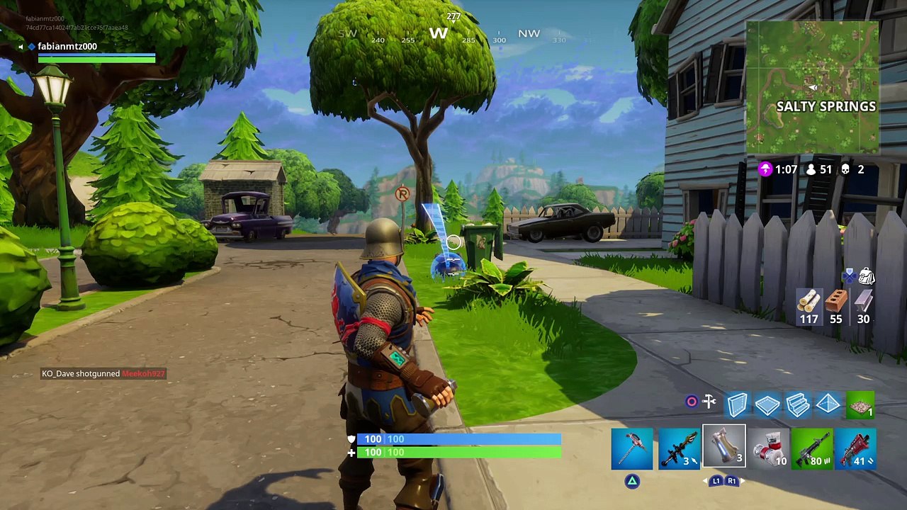 Fortnite 46