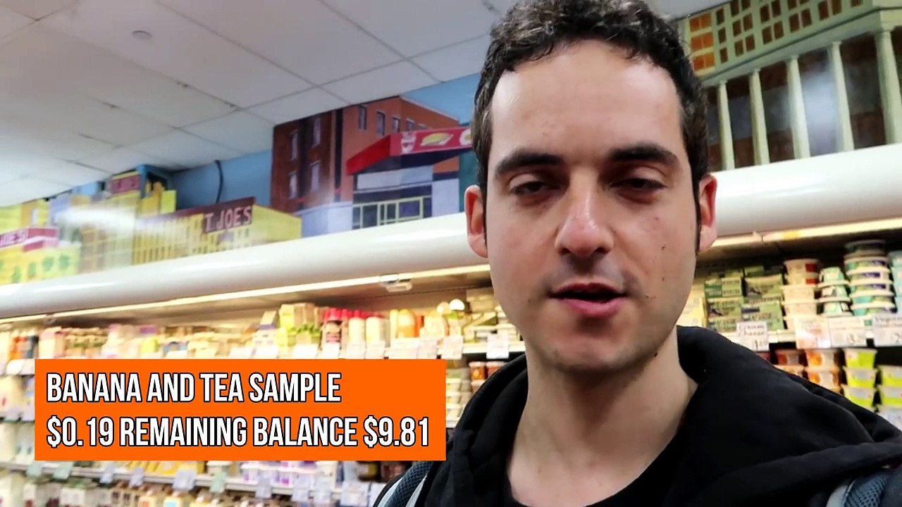 Living Cheap in NYC- $10 For A Day? (Pt. 2)