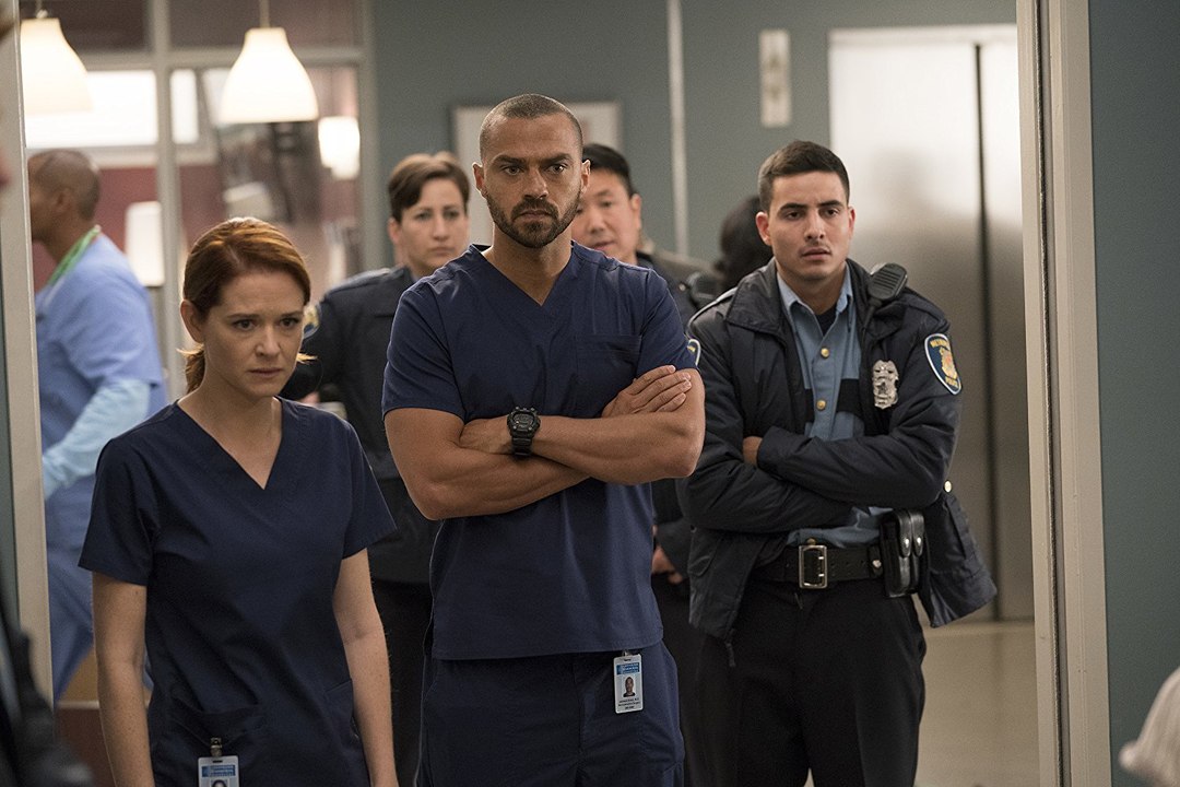 Greys Anatomy Season 14 Episode 12 ~ s14e12 (ABC)
