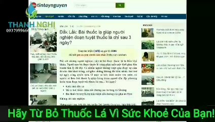 Bán Thuốc Cai Thuốc Lá Thanh Nghị Tại Nhà Bè | Cai Thuốc Lá 3 Ngày