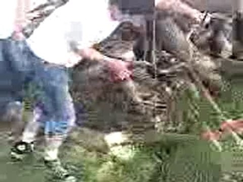 flo pierre geo nico caddi descente scoot mobylette