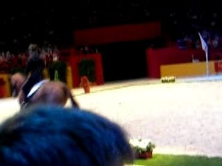 cadre noir de saumur- Bercy - 4 écoles d'art équestre