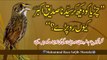 Muhammad Raza Saqib Mustafai - Chirya Ko Dekh Kr Syedna SIDDIQUE-E-AKBAR Kio Ro Pary