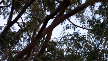 Centerpeace Foundation offers Mindfulness Meditation Los Angeles