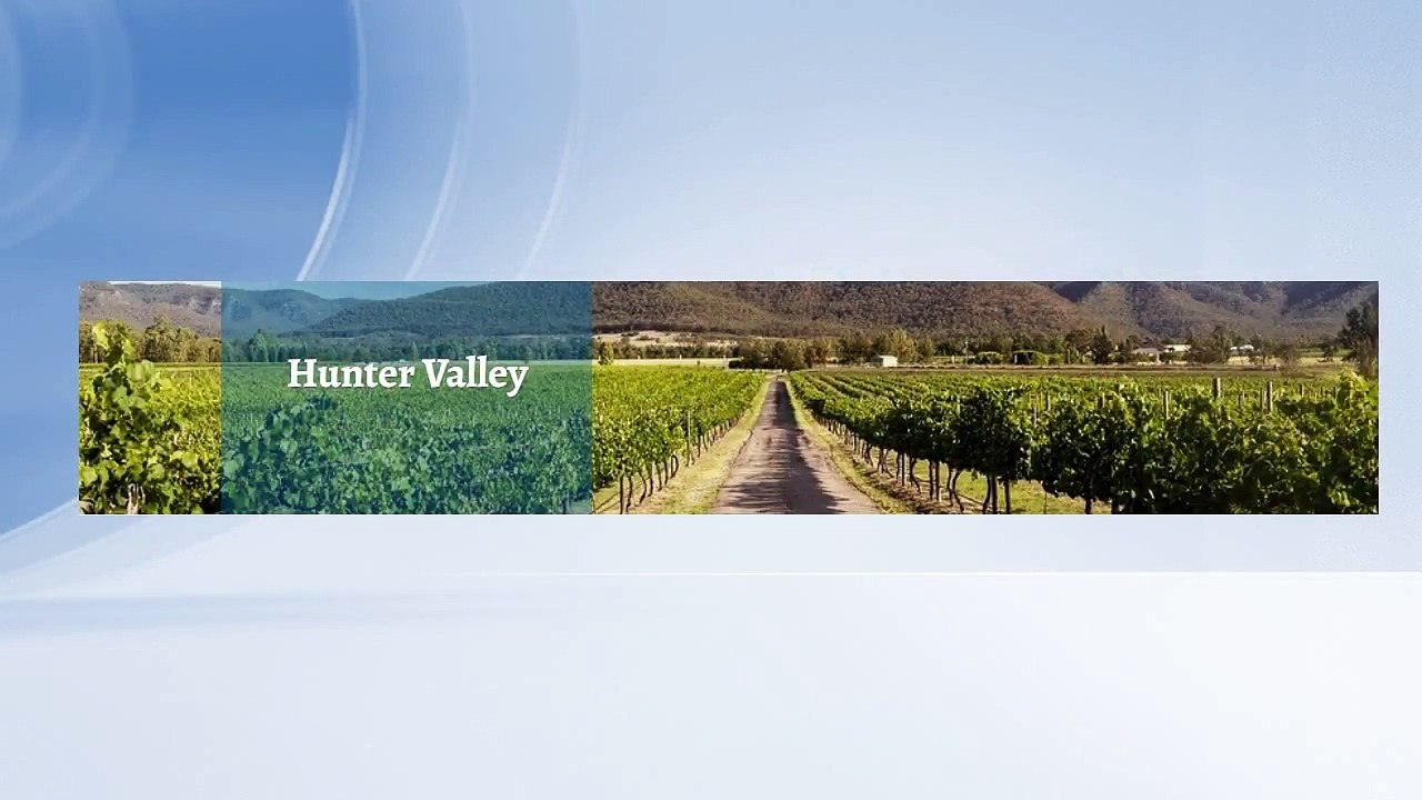 Team Building Activities in Hunter Valley | Everest Team Events