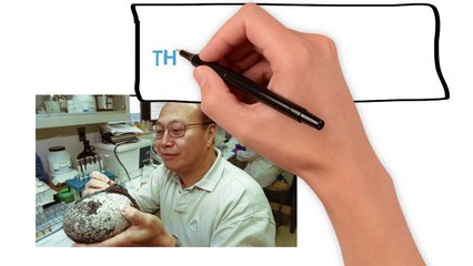 धरती के बारे में 5 चौंका देने वाले तथ्य - 5 Amazing Facts About The Planet Earth