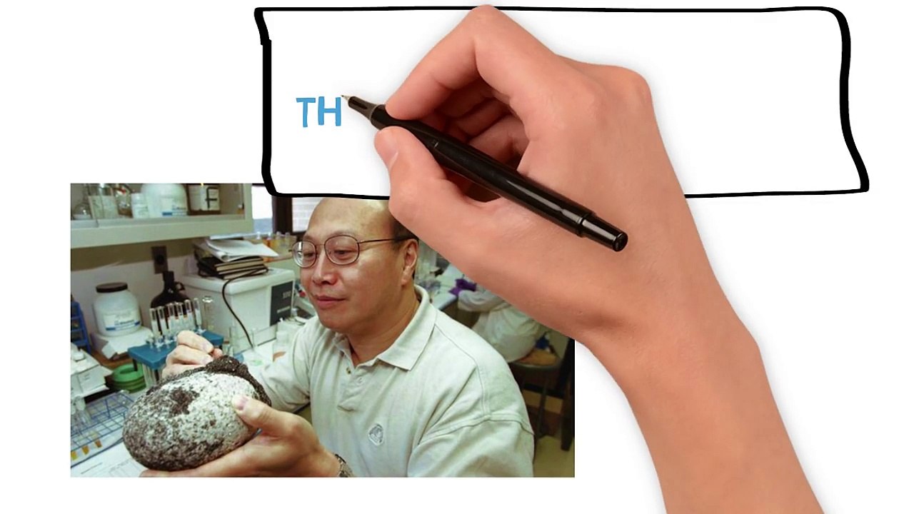 धरती के बारे में 5 चौंका देने वाले तथ्य - 5 Amazing Facts About The Planet Earth