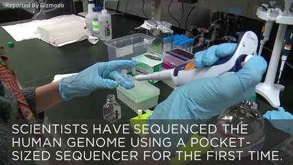 Scientists Sequence Human Genome With Amazing Device