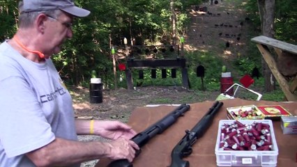 Shotgun Choice: Pump vs Semi-auto