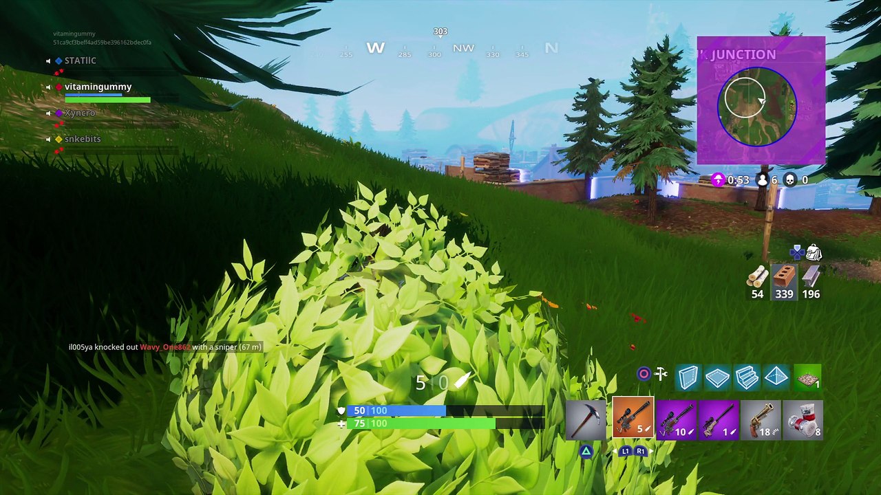 Fortnite solo win