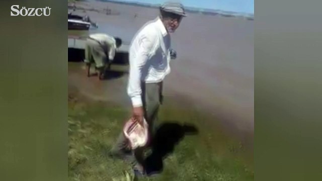 Piranalar dehşete düşürdü