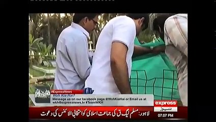 Half Human Half Animal at Fruit Farm - Woh Kya Hai