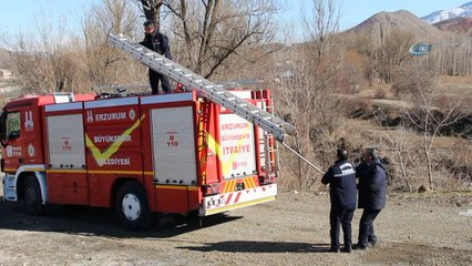 Telef olan koyunları Oltu çayına attılar
