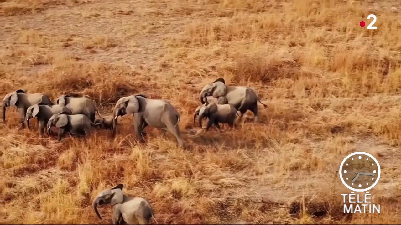 Sans frontières - Londres: Les 130 ans de la National Geographic society