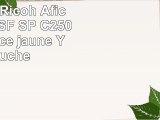 Eurotone Print Cartridge pour Ricoh Aficio  SP C250SF  SP C250DN remplacé jaune Y
