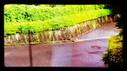 Daily Event Data Recorder on Jun. 29, 2016