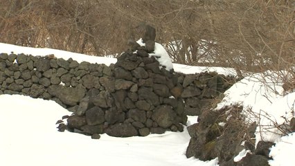 제주 교래 삼다수 마을, 세계지질공원 대표명소 지정 / YTN