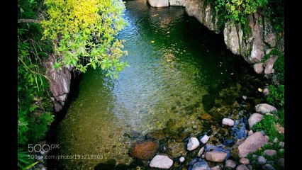 srilanka beautiful place for swim