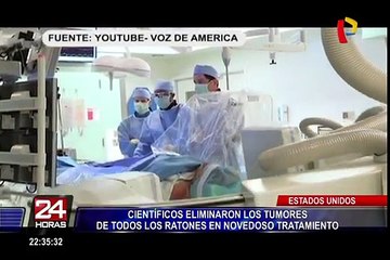 Descargar video: EEUU: científicos eliminaron tumores de ratones en novedoso tratamiento contra el cáncer