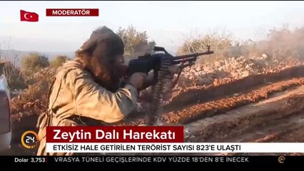 Zeytin Dalı Harekatı