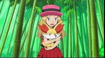 amour shippings (serena y ash)