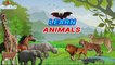 Learn Animal names for kids in English | Domestic Animals and Wild Animals for Children || VIral Rocket