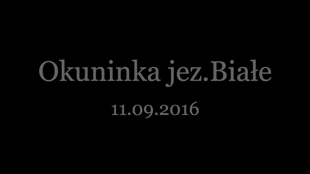 Okuninka jez. Białe 11.09.- 2016