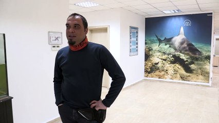 Bodrum'da denizin yaklaşık 10 metre çekilmesi - MUĞLA