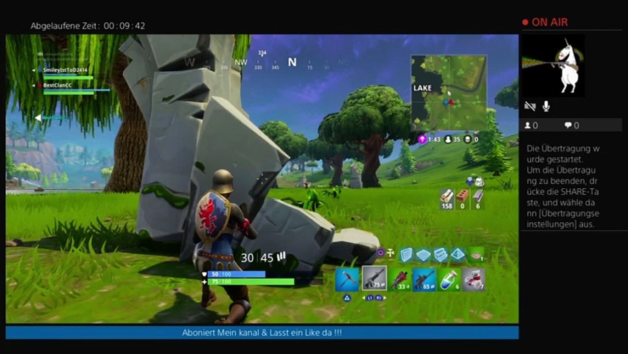 Fortnite (2)