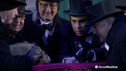 Groundhog Day 2018: Punxsutawney Phil says...