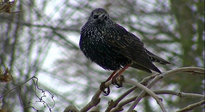 Tyne and Wear Evening Weather 020218