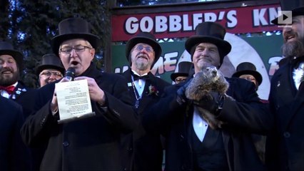 Punxsutawney Phil Makes Groundhog Day Prediction