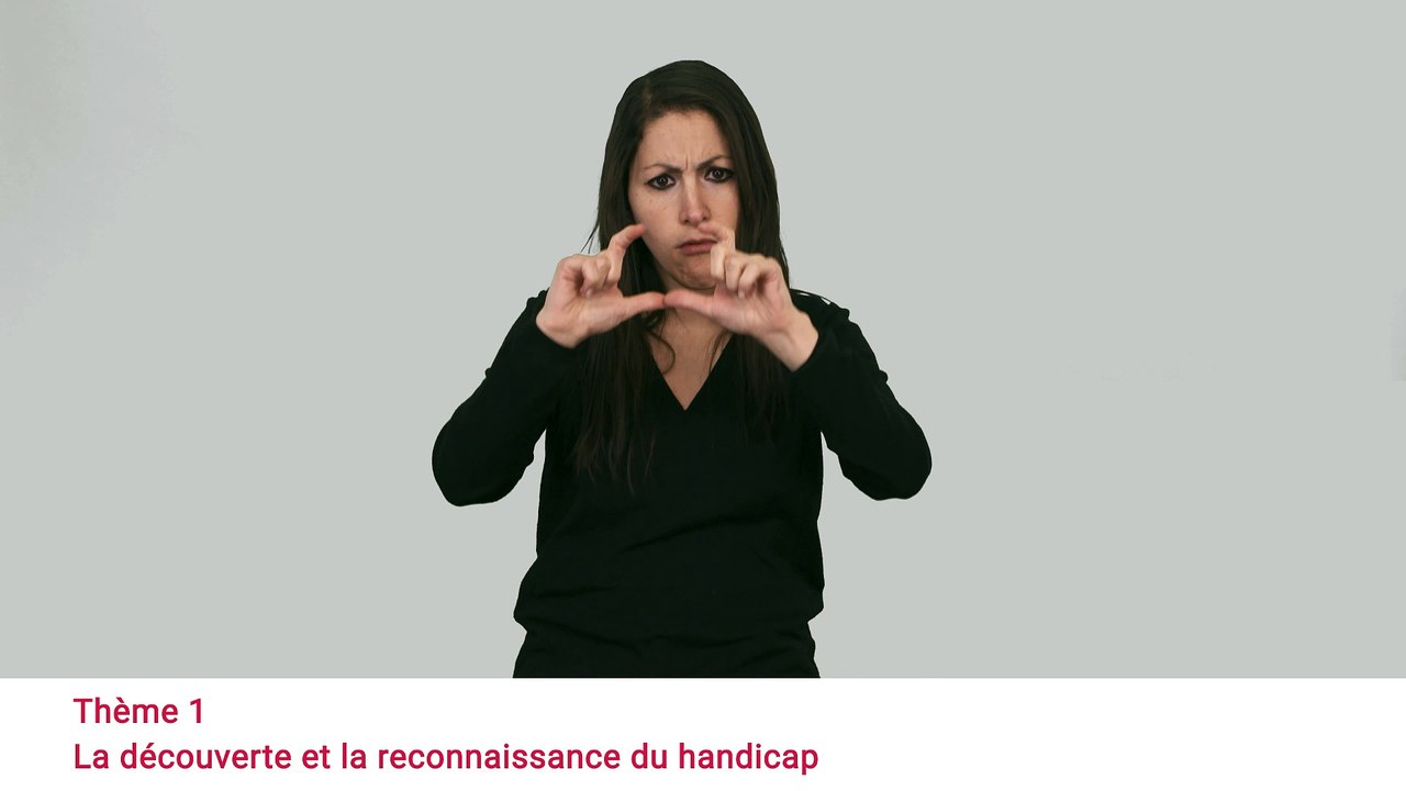 Consultation Egalité Handicap - Vidéo en LSF - Présentation des appel à témoignage