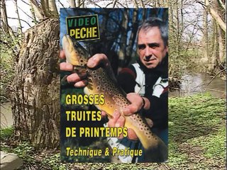 Grosses truites de printemps