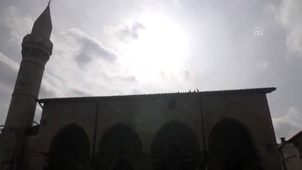 Zeytin Dalı Harekatı'na Destek