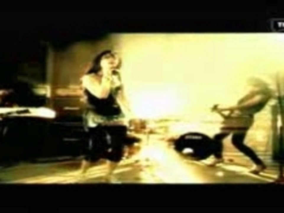 Nightwish-bye_bye_beatiful-xvid-2007-vbl