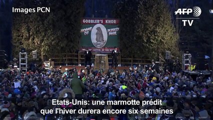 Brr! Encore six semaines d'hiver dit la marmotte