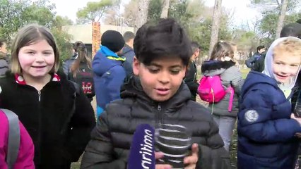 Les jeunes pousses vitrollaises ont la main verte !