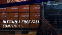 Bitcoin's Free Fall Continues, Drops Below $8,000