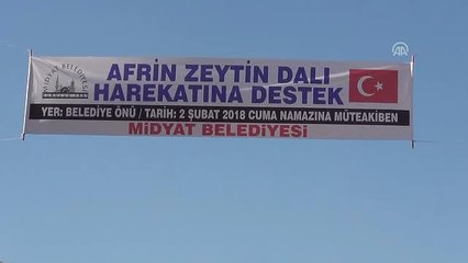 Zeytin Dalı Harekatı'na Destek Yürüyüşü