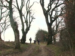 Sur les arêtes autour de St-Michel-de-St-Geoirs 38590