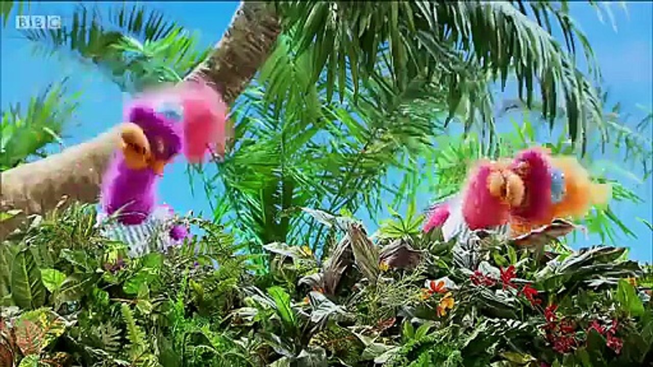 ZingZillas Series 4 Never Mind video Dailymotion