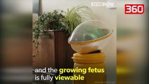 Nuk do keni më nevojë të ngelni shtatzënë, shpiket makineria që do prodhojë një bebe për ju (360video)