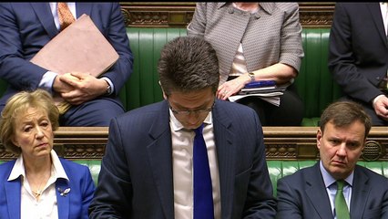 Steve Baker apologises in Commons for civil servant comments