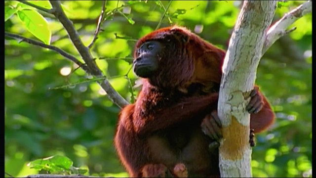 Sommes-nous seuls dans l'univers - Le voyage fantastique des frères Bogdanov-DGzg4JrBMg8