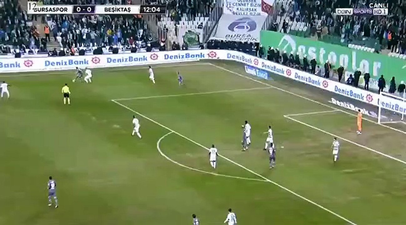Adriano'nun Bursaspor'a  füzesi...