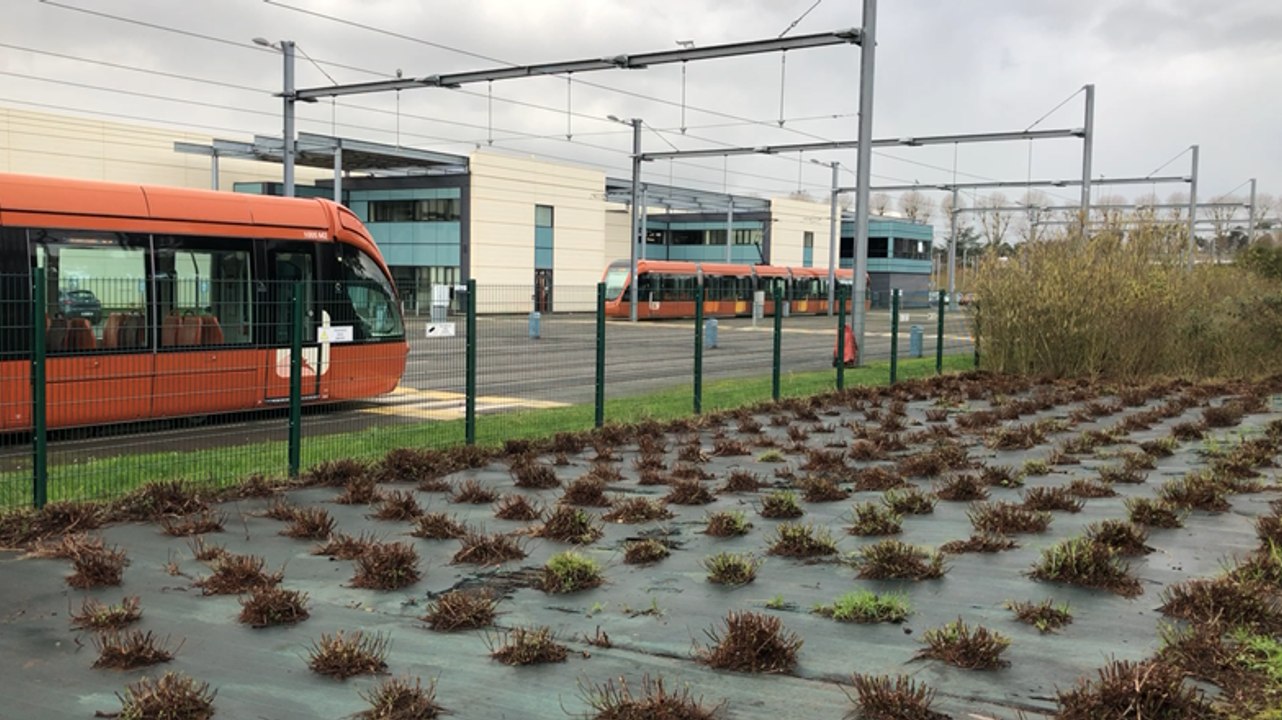 Visite du centre de maintenance du tramway