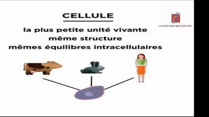 la cellule expliquée simplement