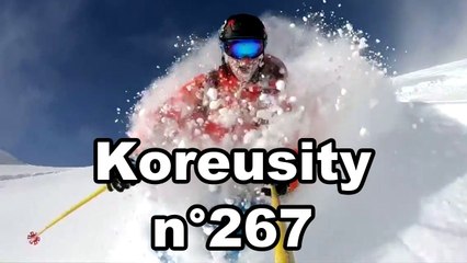 Koreusity n°267