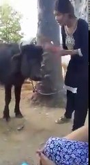 Crazy Girl Funny Spoof On Evandoi Nani Garu Song-vgr4c7